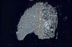 Cross Polarized, S12152/A