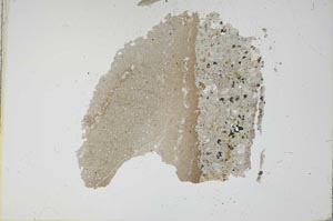 Plane Polarized, S12152/A