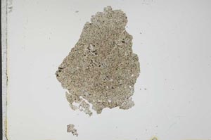 Plane Polarized, S12153