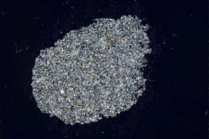 Cross Polarized, S12153/A