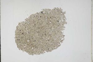 Plane Polarized, S12153/A