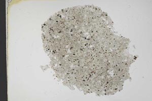 Plane Polarized, S12154