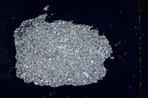 Cross Polarized, S12155