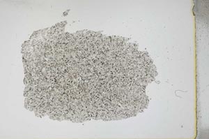 Plane Polarized, S12155