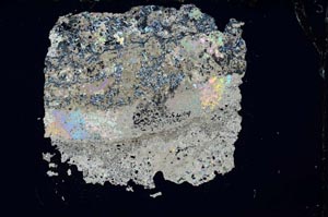 Cross Polarized, S12156