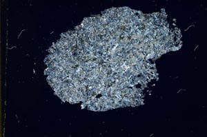 Cross Polarized, S12157