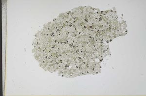 Plane Polarized, S12157