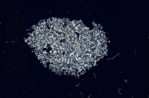 Cross Polarized, S12158