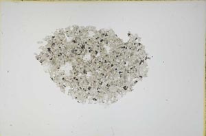 Plane Polarized, S12158