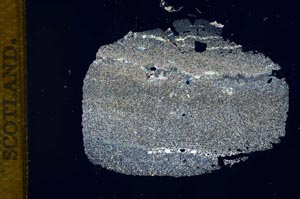 Cross Polarized, S12159