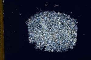 Cross Polarized, S12160