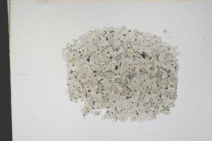 Plane Polarized, S12160