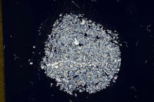 Cross Polarized, S12161