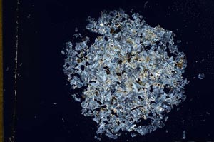 Cross Polarized, S12162