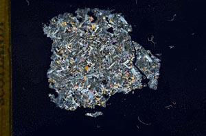 Cross Polarized, S12163