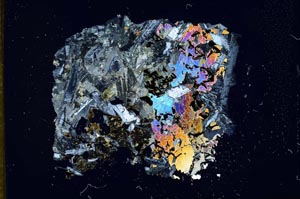 Cross Polarized, S12164