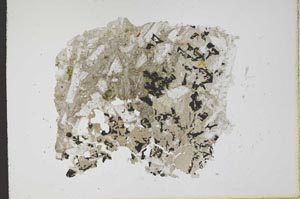 Plane Polarized, S12164