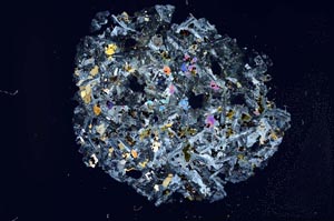 Cross Polarized, S12165