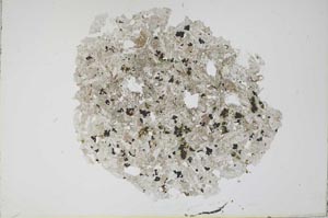 Plane Polarized, S12165