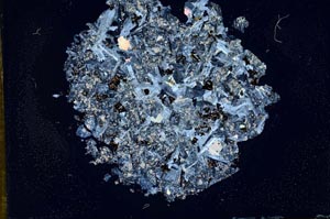 Cross Polarized, S12166