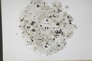 Plane Polarized, S12166