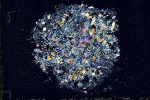 Cross Polarized, S12167