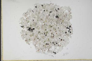 Plane Polarized, S12167