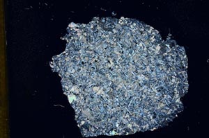 Cross Polarized, S12168