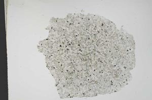 Plane Polarized, S12168