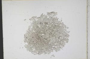 Plane Polarized, S12169