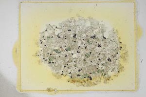 Plane Polarized, S12170