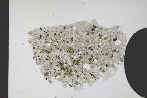 Plane Polarized, S12170/A