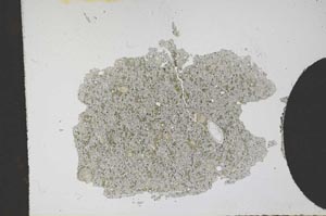 Plane Polarized, S12171