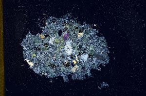 Cross Polarized, S12172