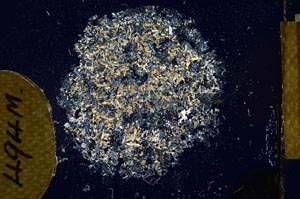 Cross Polarized, S12173