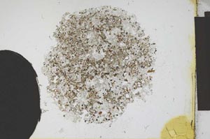 Plane Polarized, S12173