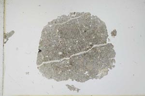 Plane Polarized, S12174
