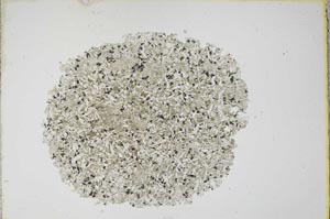 Plane Polarized, S12180
