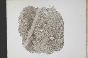 Plane Polarized, S12192