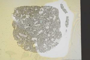 Plane Polarized, S12194