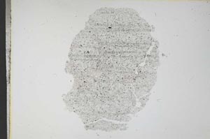 Plane Polarized, S12198