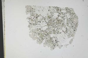 Plane Polarized, S12199