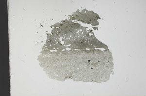 Plane Polarized, S12202