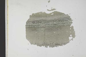 Plane Polarized, S12203/3