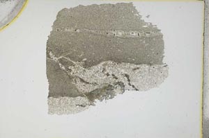 Plane Polarized, S12209