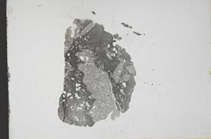 Plane Polarized, S12219