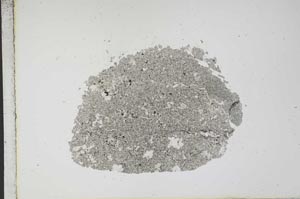 Plane Polarized, S12220