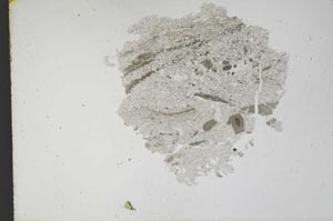 Plane Polarized, S12221