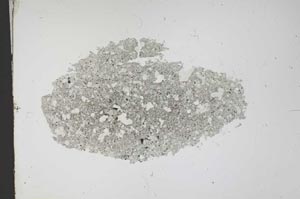 Plane Polarized, S12222