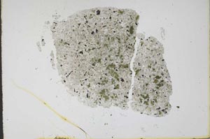 Plane Polarized, S12223